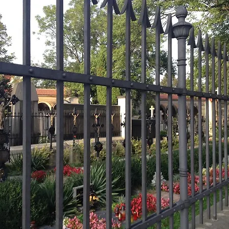 Casa de hóspedes Albert